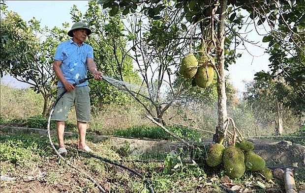 Đồng bào huyện Nậm Nhùn - Lai Châu: Mạnh dạn đầu tư, vươn lên làm giàu