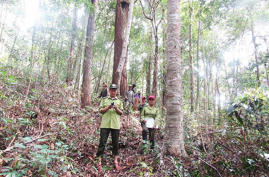 Bà con dân tộc thiểu số huyện Kbang thoát nghèo nhờ nhận giao khoán bảo vệ rừng