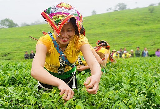 Bình Thuận: Khơi dậy ý chí vươn lên để đồng bào giảm nghèo bền vững