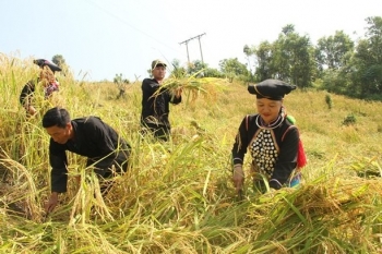 Bệ đỡ giúp đồng bào dân tộc thiểu số Lai Châu thoát nghèo