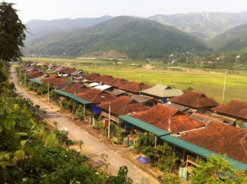 doi thay cua ba con ban pa bon xa nam pi o khu tai dinh cu