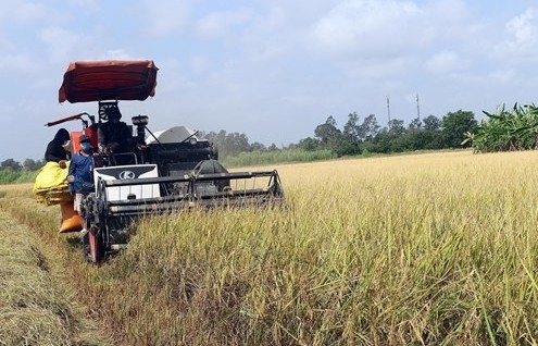 Sóc Trăng: Đẩy mạnh phát triển kinh tế - xã hội vùng đồng bào dân tộc thiểu số