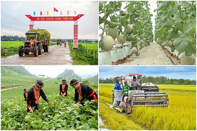 Tạo sinh kế cho đồng bào dân tộc thiểu số ở Đắk Nông vươn lên thoát nghèo