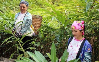 huyen thuan chau trien khai hieu qua nguon von duoc phan bo ho tro ba con thoat ngheo