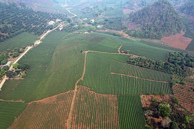Huyện Thuận Châu triển khai hiệu quả nguồn vốn được phân bổ, hỗ trợ bà con thoát nghèo