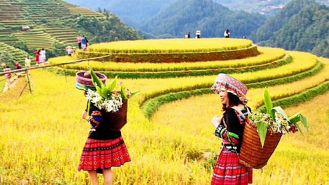 Cải thiện sinh kế cho bà con dân tộc thiểu số từ ruộng bậc thang và phát triển du lịch