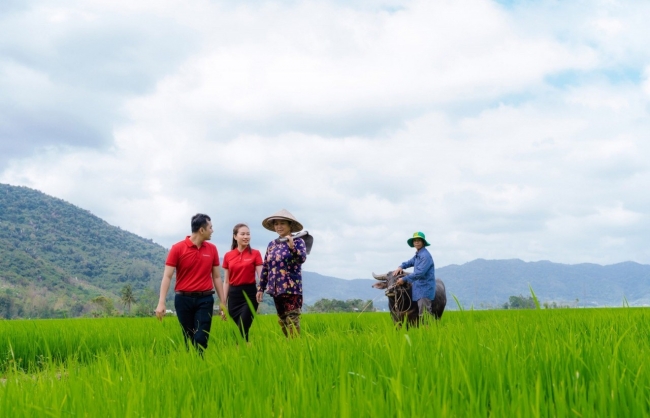 Agribank đồng hành phát triển bền vững 1 triệu ha chuyên canh lúa chất lượng cao