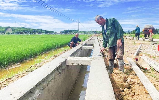 Trong 5 năm qua, hưởng ứng phong trào xây dựng Nông thôn mới, đồng bào Công giáo đã tự nguyện đóng góp trên 50 tỷ đồng, hiến trên 230ha đất, gần 157 nghìn ngày công lao động.