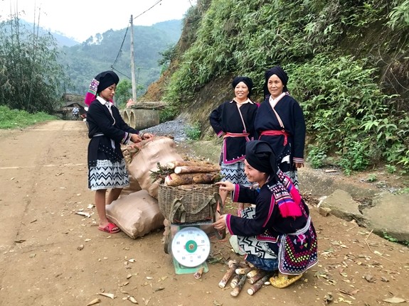 Sơn La: Huyện Vân Hồ tạo sinh kế giúp phụ nữ dân tộc thiểu số vươn lên thoát nghèo