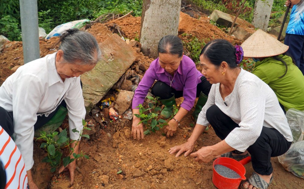 Giáo dân Giáo xứ Yên Bình tham gia trồng hoa, tạo cảnh quan môi trường xanh, sạch, đẹp.