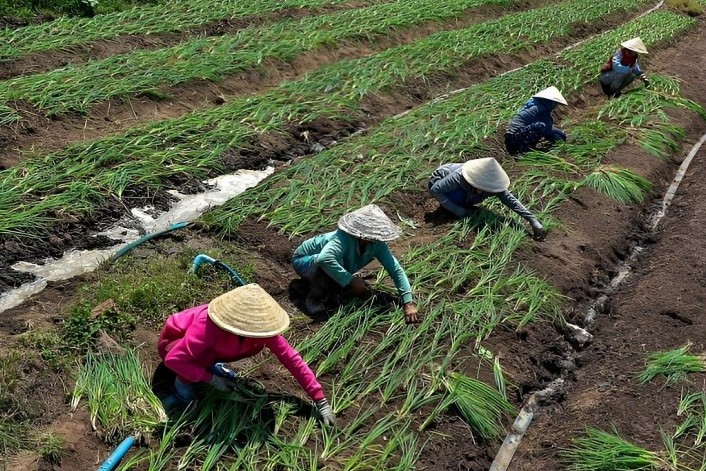 Tây Ninh: Lồng ghép nhiều dự án phù hợp trong công tác giảm nghèo bền vững