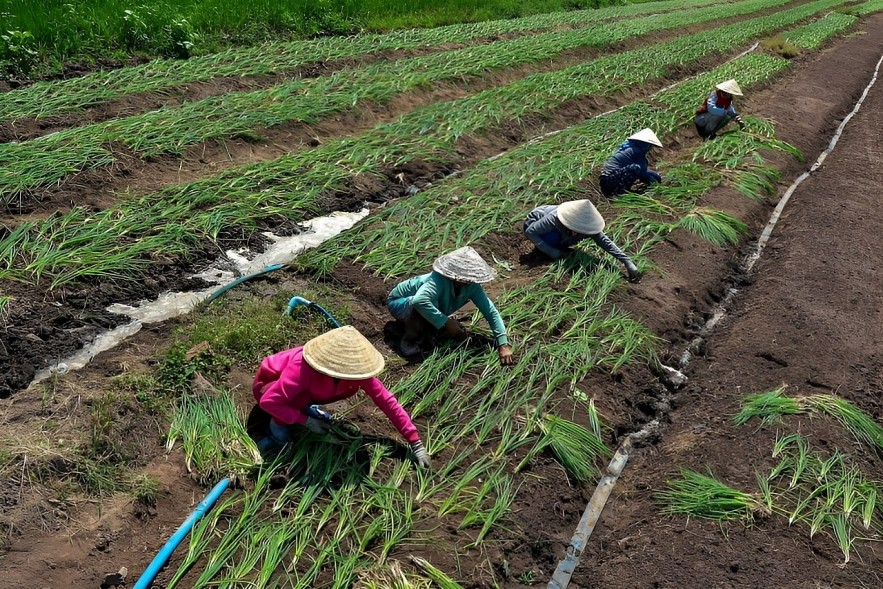 Tây Ninh: Lồng ghép nhiều dự án phù hợp trong công tác giảm nghèo bền vững