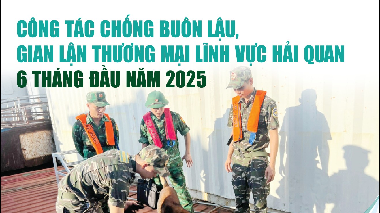 infographics 8561 vu vi pham phap luat hai quan trong 6 thang dau nam 2025