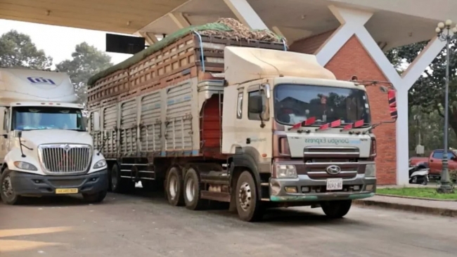 Chính phủ tạm dừng áp dụng Nghị định 46/2026/NĐ-CP về an toàn thực phẩm