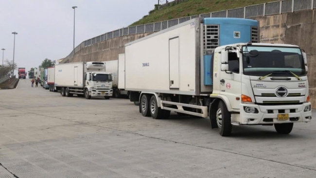 Từ 7/3/2026, thí điểm thông quan cuối tuần tại cầu Bắc Luân II, cửa khẩu Móng Cái