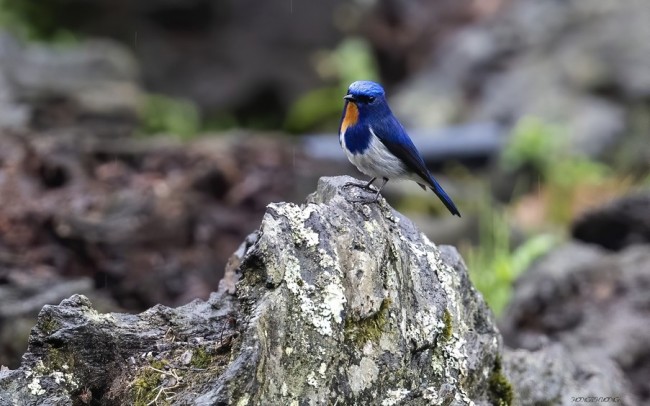 Bát Xát trở thành Vườn quốc gia thứ 36 của Việt Nam