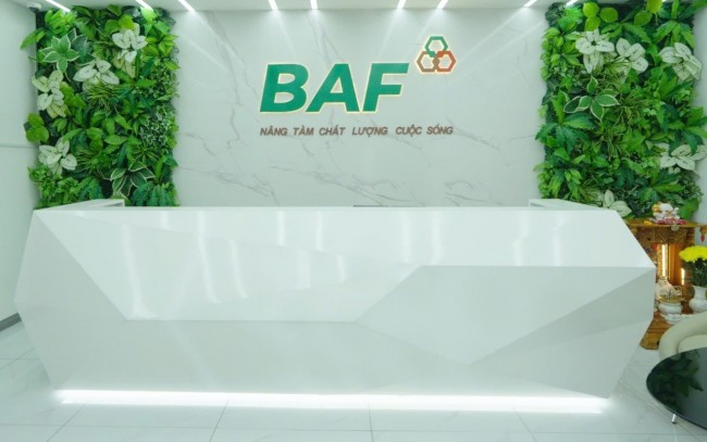 BAF đệ trình phương án chi trả cổ tức và phát hành cổ phiếu thưởng với tỷ lệ 20%