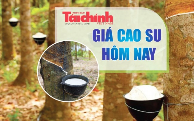 Ngày 19/4: Giá cao su trên các sàn châu Á đồng loạt giảm