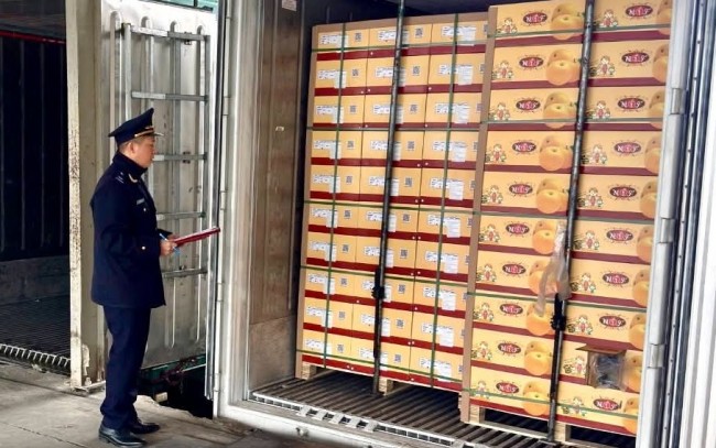 Tạo thuận lợi, Hải quan thống nhất thủ tục kho, bãi triển khai Nghị quyết 66.16/2026/NQ-CP