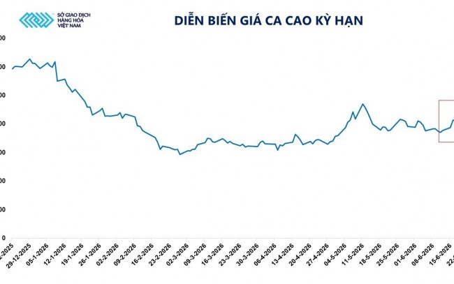 Giá ca cao tăng vọt hơn 9% bất chấp áp lực điều chỉnh nhiều mặt hàng