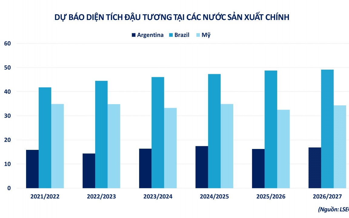 Áp lực từ thị trường năng lượng và thời tiết đè nặng lên giá đậu tương