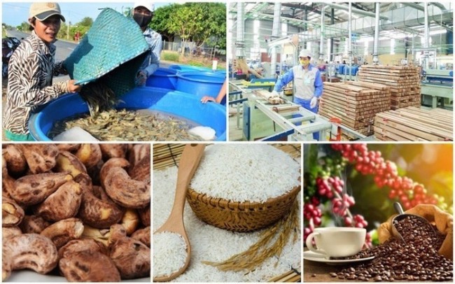 Tuân thủ SPS để giữ vững thị trường EU và Anh