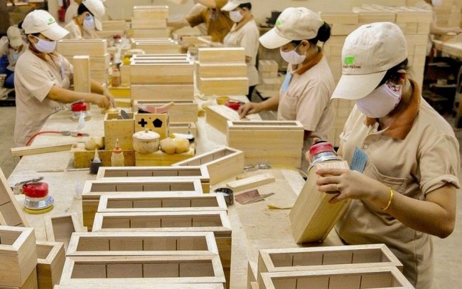 Gỡ điểm nghẽn vùng nguyên liệu để nâng sức cạnh tranh ngành gỗ