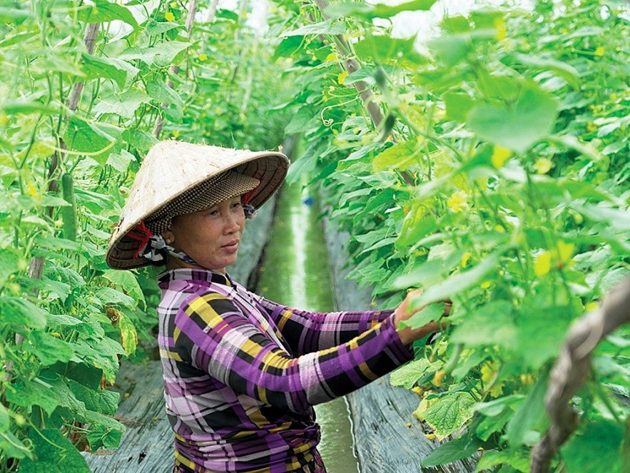 Bạc Liêu: Chính sách tín dụng là nguồn lực để đồng bào Khmer giảm nghèo