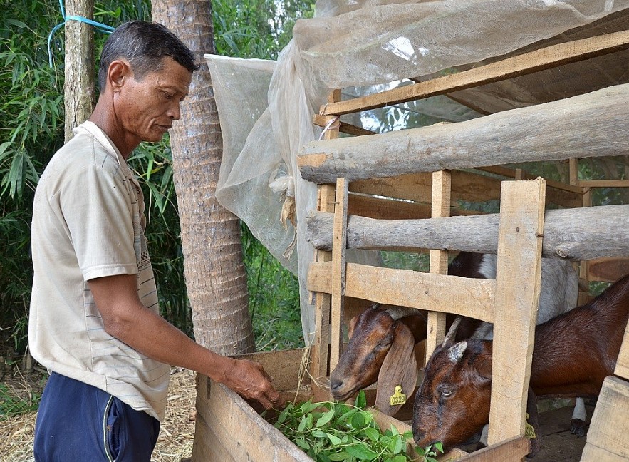 Bạc Liêu: Chính sách tín dụng là nguồn lực để đồng bào Khmer giảm nghèo