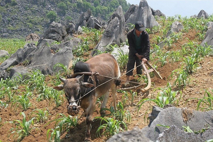 Hỗ trợ giải quyết tình trạng thiếu đất ở, nước sinh hoạt cho đồng bào dân tộc