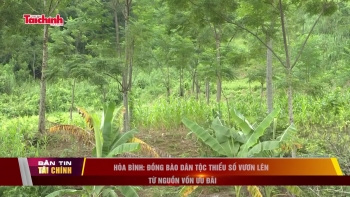 hoa binh dong bao dan toc thieu so vuon len tu nguon von uu dai